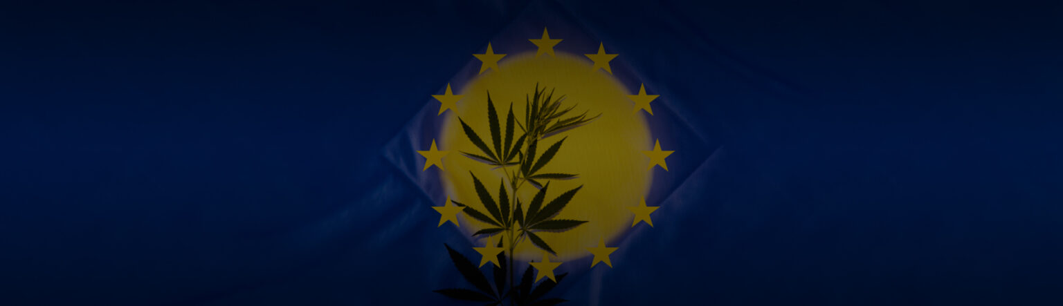 European Cannabis Market Research